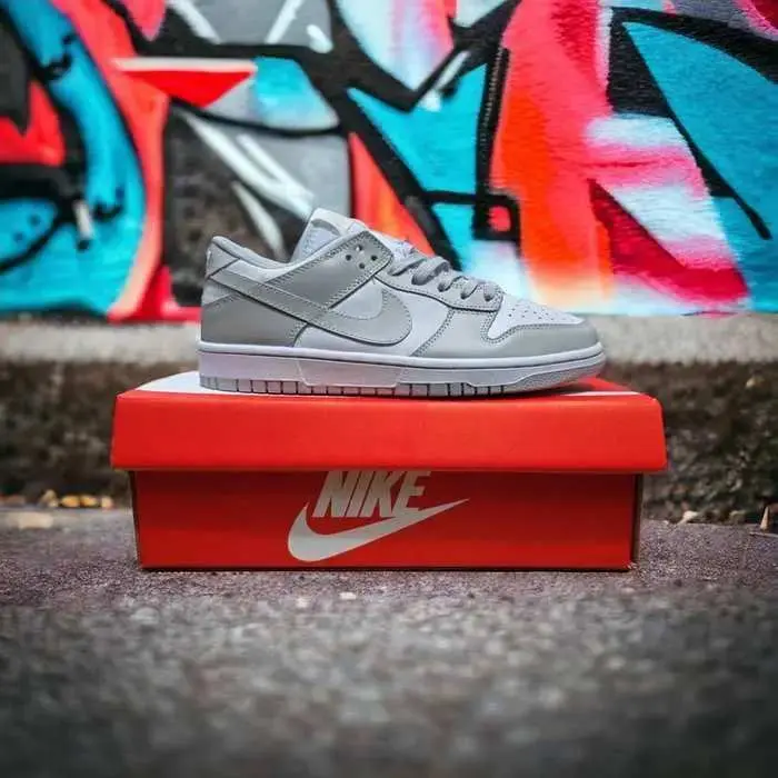 SB DUNK GRIS